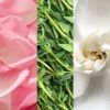 Mariobadescu_785364134317_3_66e5_thumbnail
