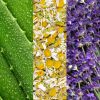 Mariobadescu_785364134379_3_bfd2_thumbnail
